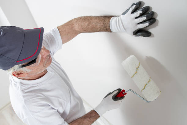 Best Drywall Sanding and Smoothing  in Brockport, NY